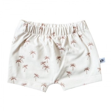 Thumbnailphotoroom20240414203531